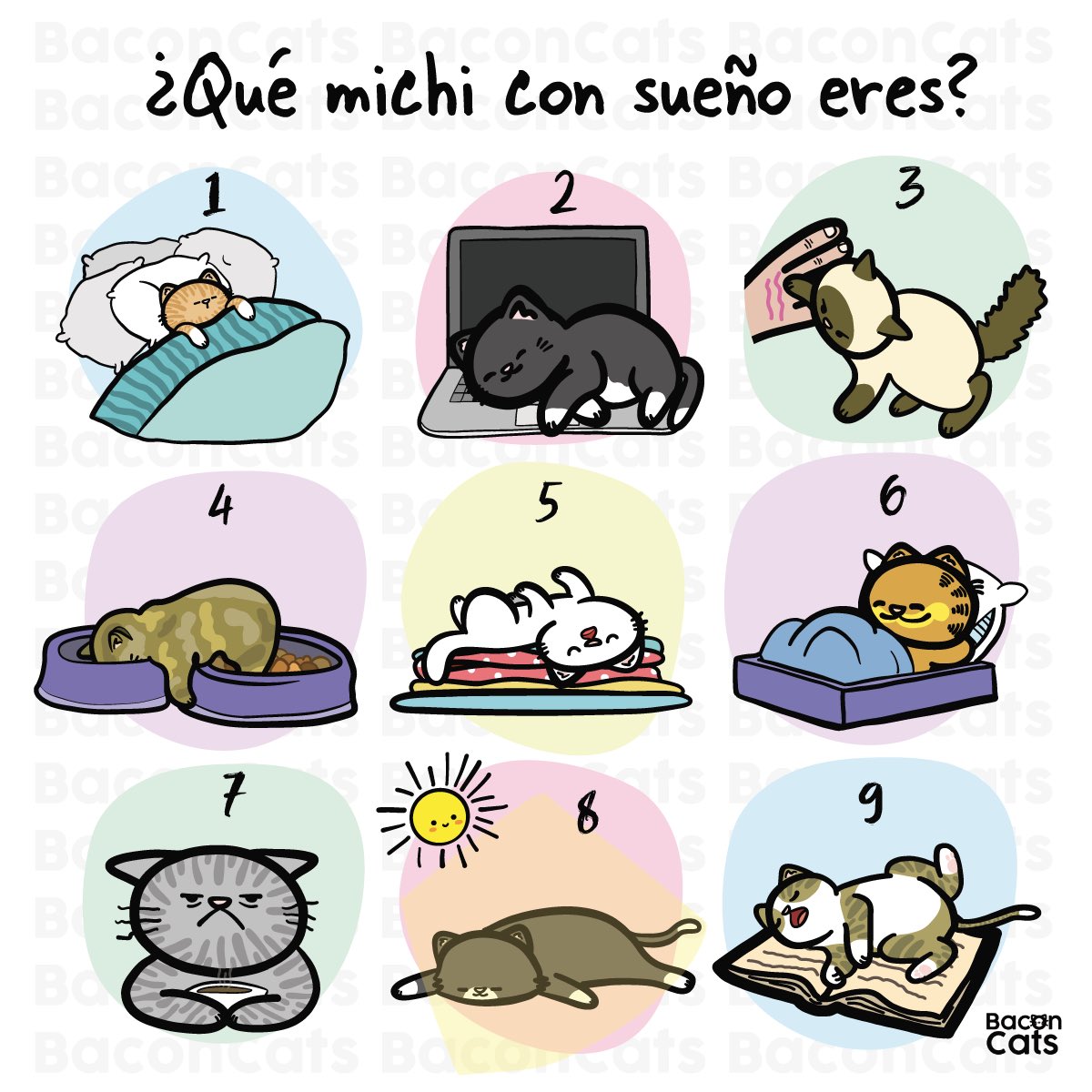 Baconcatsmx's tweet photo. Porque lunezZzZ  😴 https://t.co/GGarx6XJLF