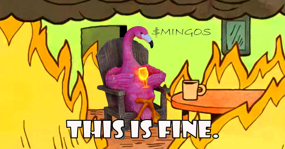 flamingocoinerc's tweet photo. This is fine ! 🦩🦩 https://t.co/epuxduTwM9