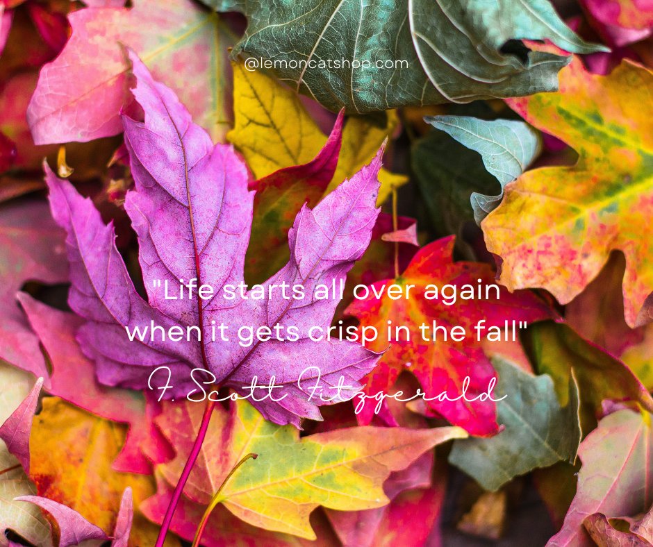Life starts.
#autumn #nature #fall #autumnvibes #photography #love #naturephotography #september #photooftheday #landscape #autumncolors #picoftheday #photo #beautiful #leaves #naturelovers #sunset #goodvibes