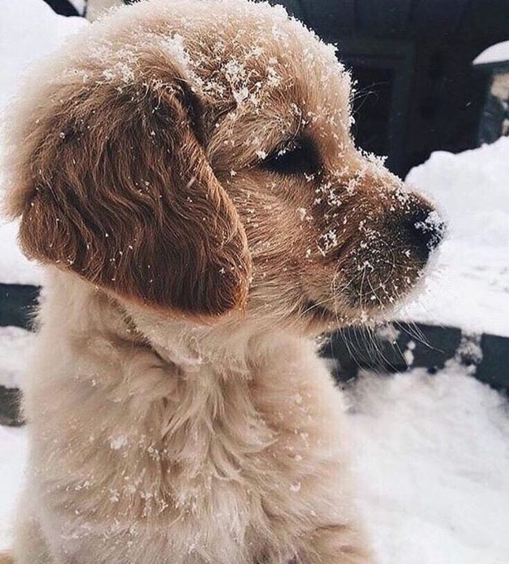 tatii_mo's tweet photo. go to pinterest   

"your name + core" 
"your name + baking" 
"your name + autumn" 
"your name + pets" https://t.co/4iN8VAxPF2