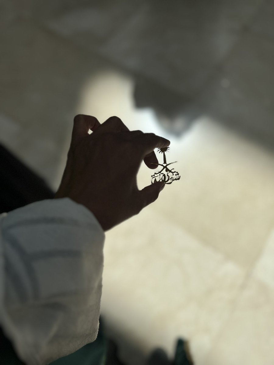 FShwlan's tweet photo. سعودية وافتخر ..💚 https://t.co/dsplj0S8aG