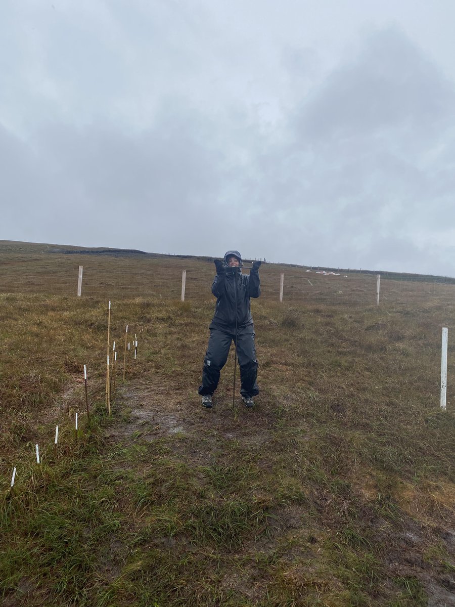 Pagodroma's tweet image. Best birthday week in Ireland - time home in Clare and Louth, finally visiting the Corlea Trackway, probing for ancient stonewalls in the Céide Fields (my first trip there in 20 years!), Belmullet for excellent rugby 🇮🇪 🇿🇦, Elly Bay, anemones in Louth and sea swims in Sligo❤️