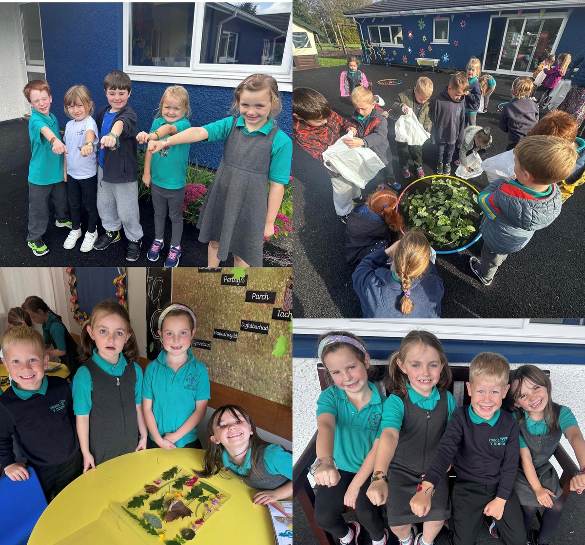 ysgol_y_dderi's tweet image. 🌿DITECTIFS NATUR -  DYSGU SYLFAEN 🕵️
Creu breichledau cyfeillgarwch gan ddefnyddio deunyddiau naturiol o'r goedlan 🍂💛🌿🌲🌸😊#ffrindiau #lles @HarmonyOrgUK @_OLW_