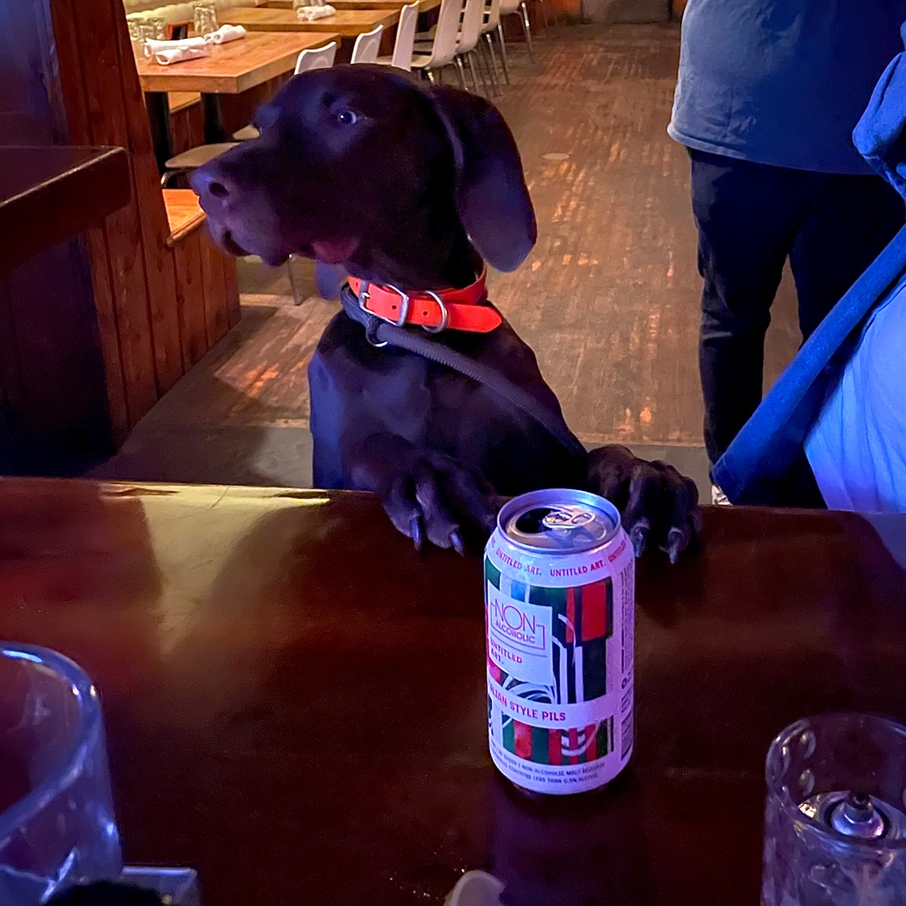 nonisdeli's tweet photo. 🐾 sup dawgs. paws for just a sec and checkout what we have going on this week. 🐾 https://t.co/lOFNyW7wLR