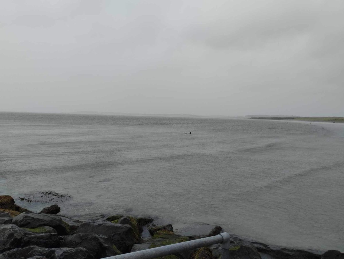 Pagodroma's tweet image. Best birthday week in Ireland - time home in Clare and Louth, finally visiting the Corlea Trackway, probing for ancient stonewalls in the Céide Fields (my first trip there in 20 years!), Belmullet for excellent rugby 🇮🇪 🇿🇦, Elly Bay, anemones in Louth and sea swims in Sligo❤️