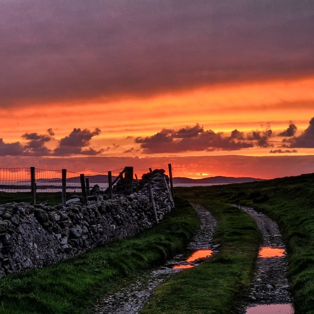 There's nothing quite like an evening stroll in the wilds of Connemara, just watching the sky light up with the sun's dramatic last burst of light... Magic! 🌅🔥🧡

📸 Jeremy Madden
📍 Renvyle, Connemara

#EveningWalk #Sunset #Wow #Renvyle #Connemara #Galway #Ireland #VisitGalway