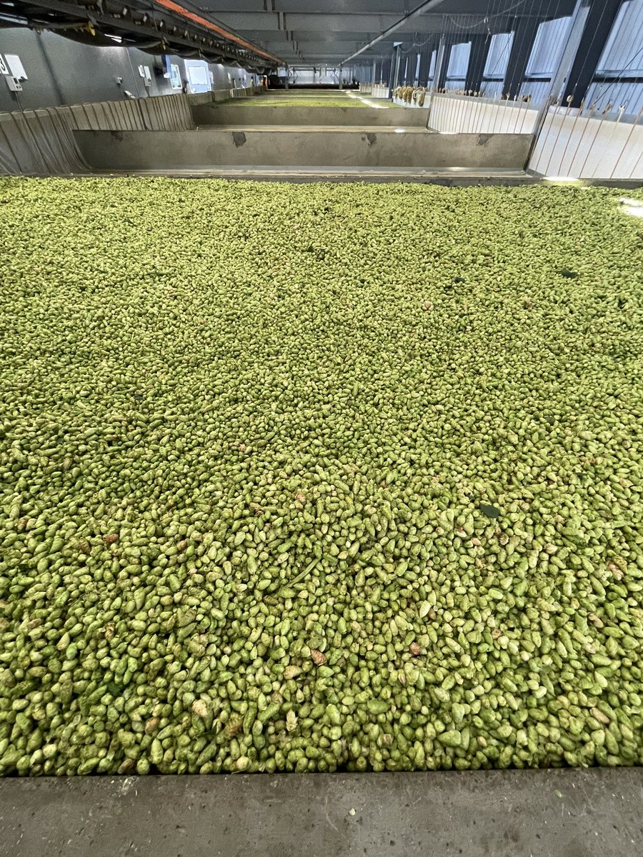 Billy’s Tavern Homebrewing tweet media