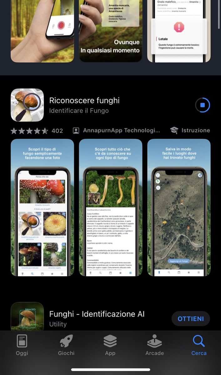 Ora si che possiamo andare a funghi in quanto esperti