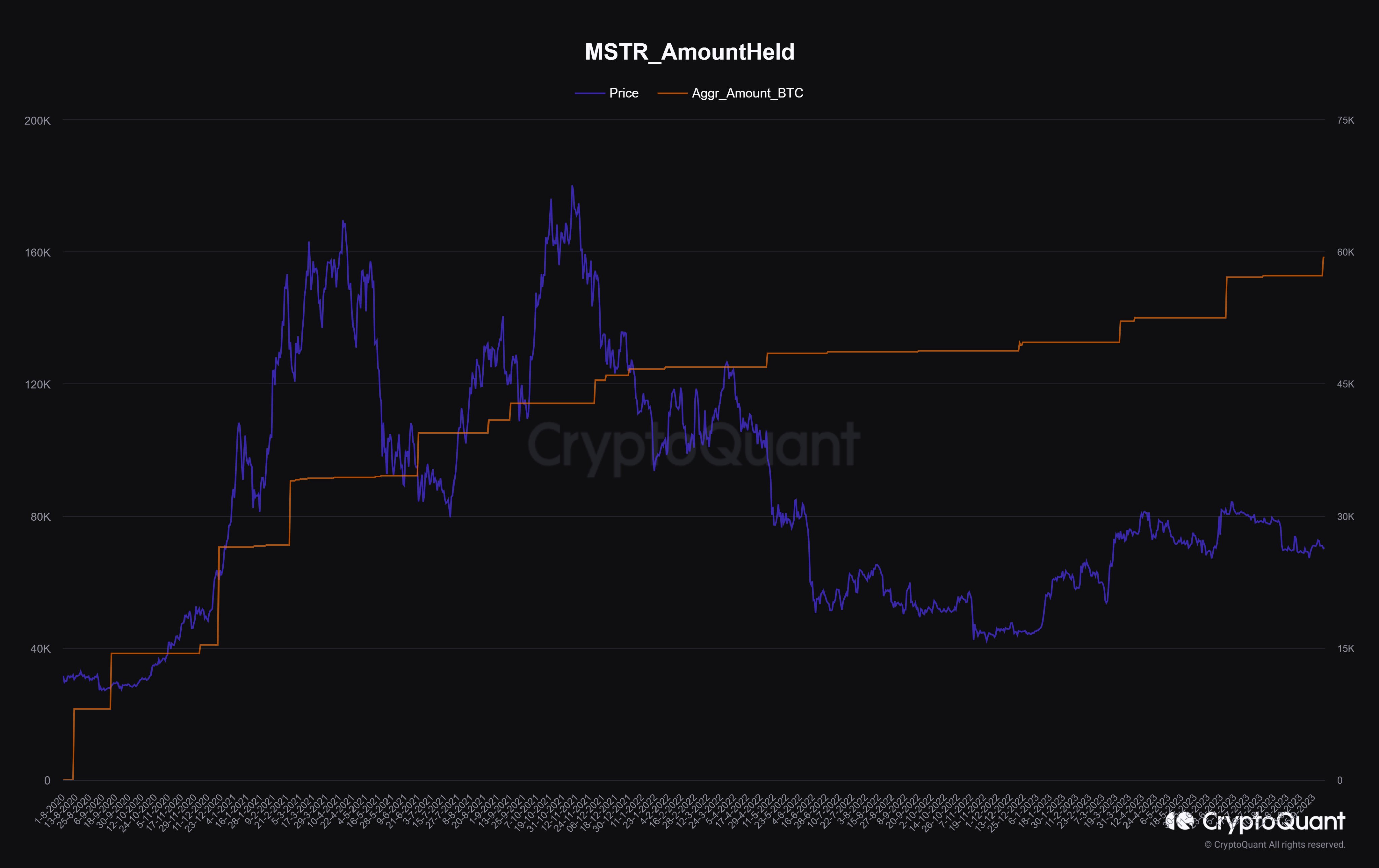 Microstrategy Bitcoin Holdings