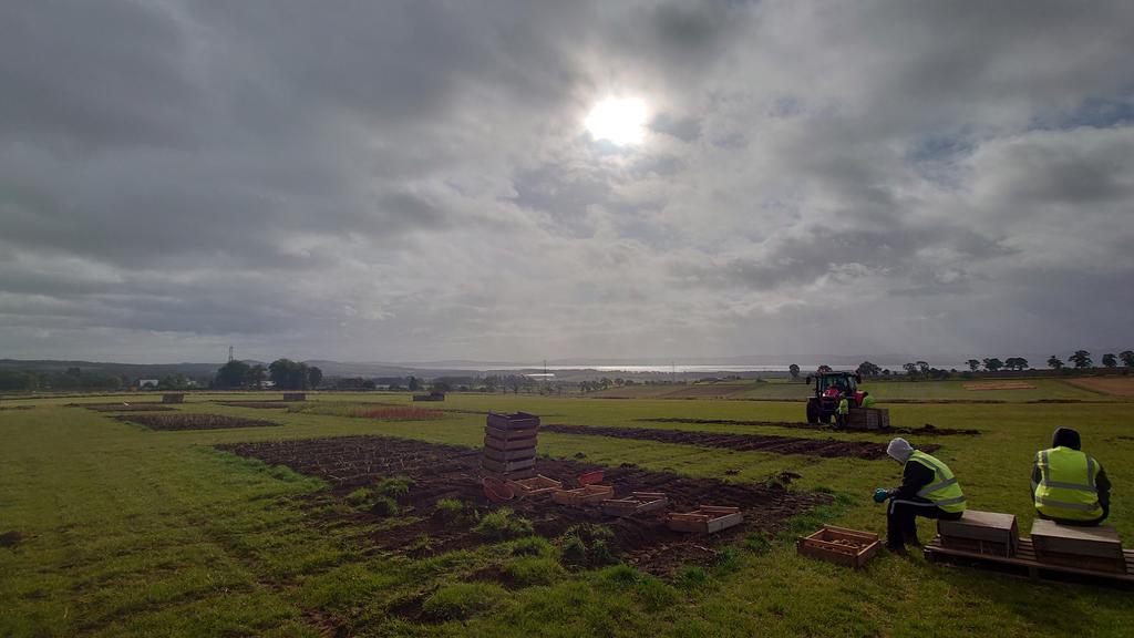 Degze's tweet photo. @JamesHuttonLtd @JamesHuttonInst
Potatoes in Practice harvested today.
Cracking sky https://t.co/hBRYKLhixb