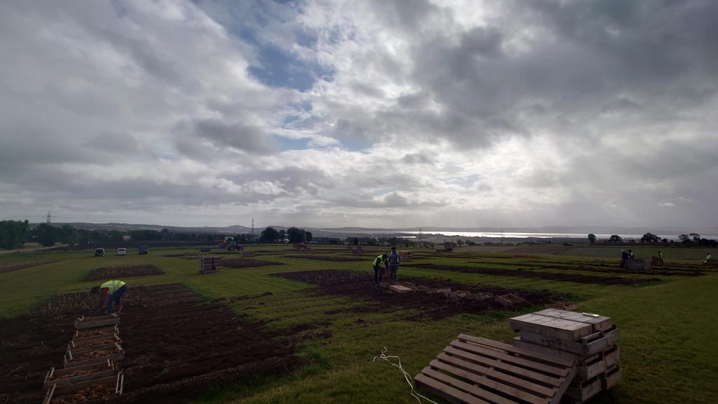Degze's tweet photo. @JamesHuttonLtd @JamesHuttonInst
Potatoes in Practice harvested today.
Cracking sky https://t.co/hBRYKLhixb