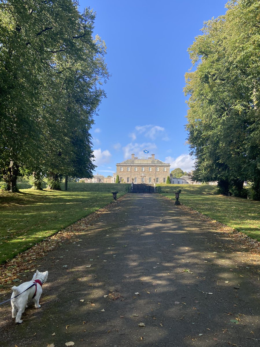 lynn_morrison66's tweet photo. Beautiful at Haddo today @visithaddo https://t.co/1l3SpNitCq