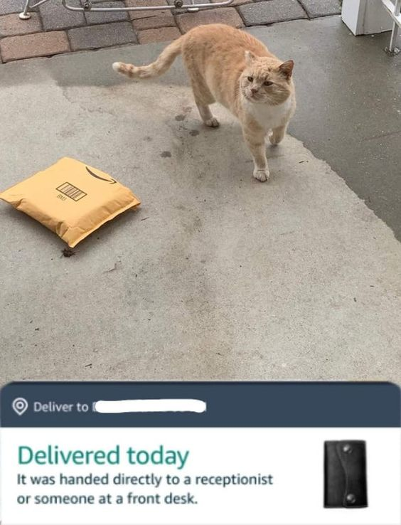 WholesomeMeme's tweet photo. https://t.co/sL7ADrPWtw
