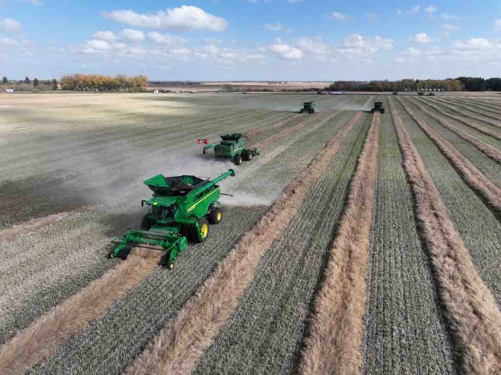 SeedMasterMfg's tweet photo. From planting canola on May 12 to harvest on September 23rd. Yields averaging 57-60 bpa on our 160 Acres of Gold contest winning farm! That’s the SeedMaster UltraSR way. #CanolaMaster #TeamEffort https://t.co/1DTZOgLO6C