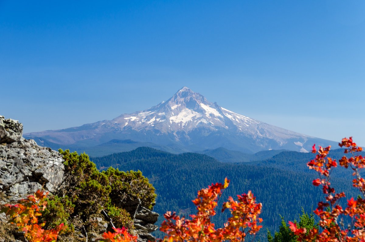 Fall has arrived in Oregon! Our Scenic Image Collection shows off Oregon's autumnal hues with pics from around our state.
For example, here's Mt. Hood, as seen from Larch Mountain.
Find the full collection at the NW Digital Heritage Hub: northwestdigitalheritage.org/s/s/oregon-sce…