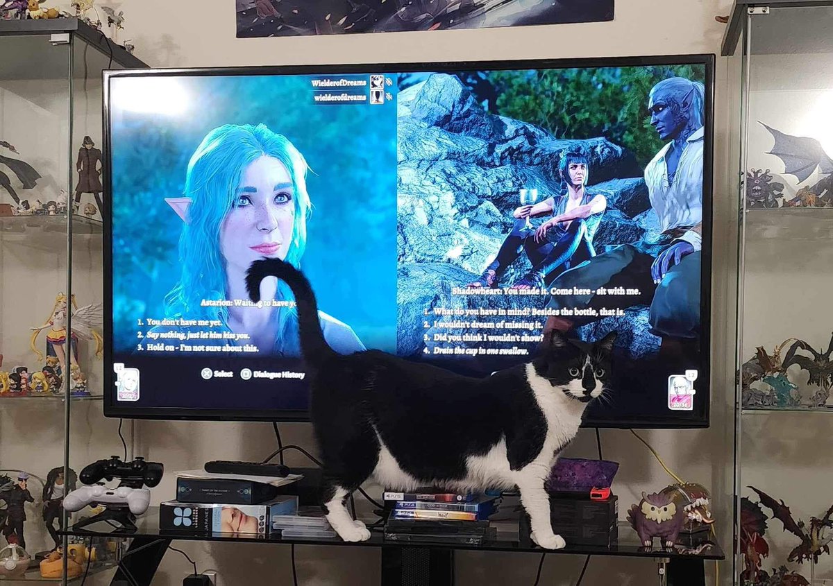 So <a href="/Dominic__Noble/">Dom Noble</a> and I are playing through Baldur’s Gate 3 in local co-op, and during the party sequence when both of us were trying to romance our respective partners, my cat decides to jump up and cockblock us xD