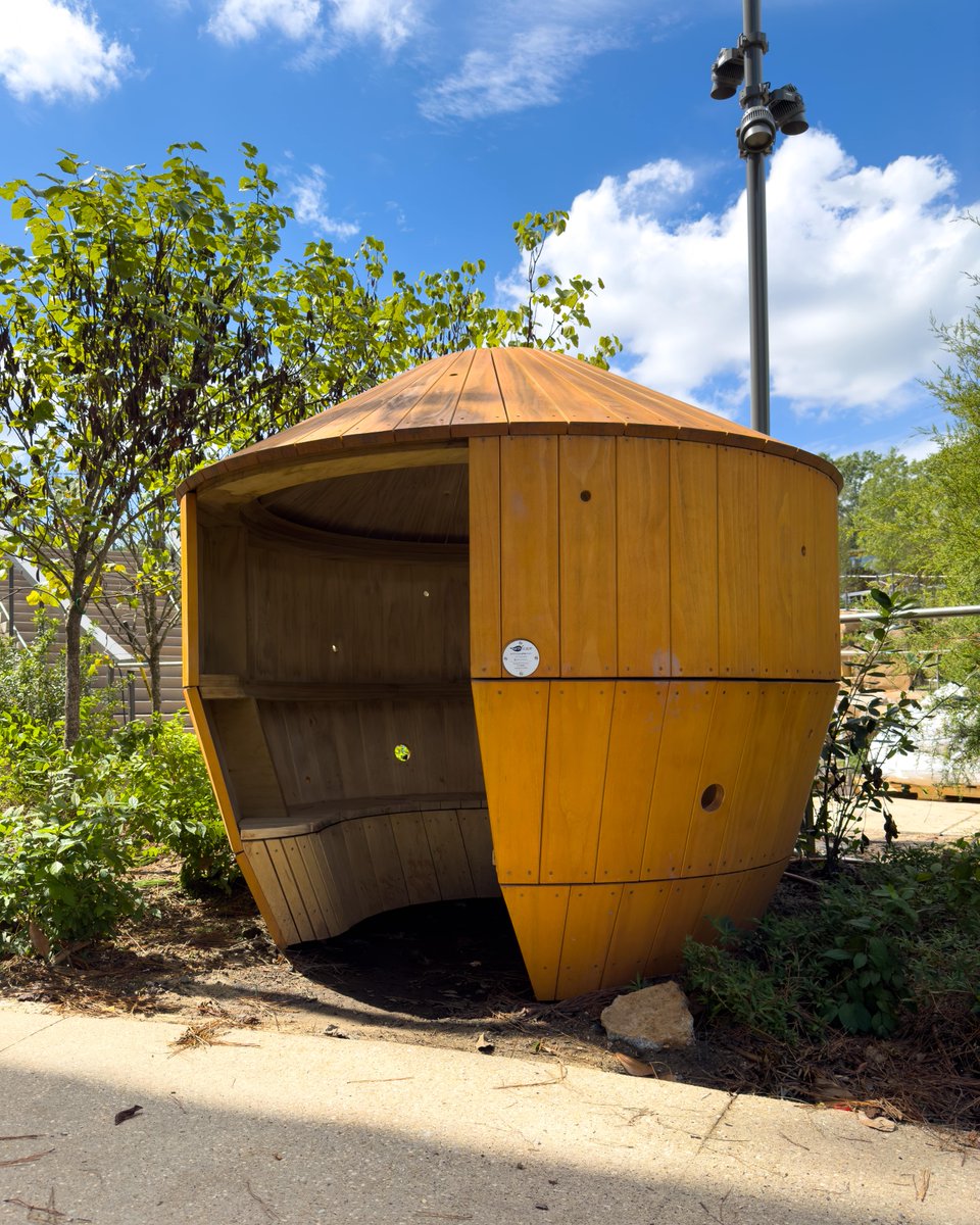 Downtown Cary Park tweet media