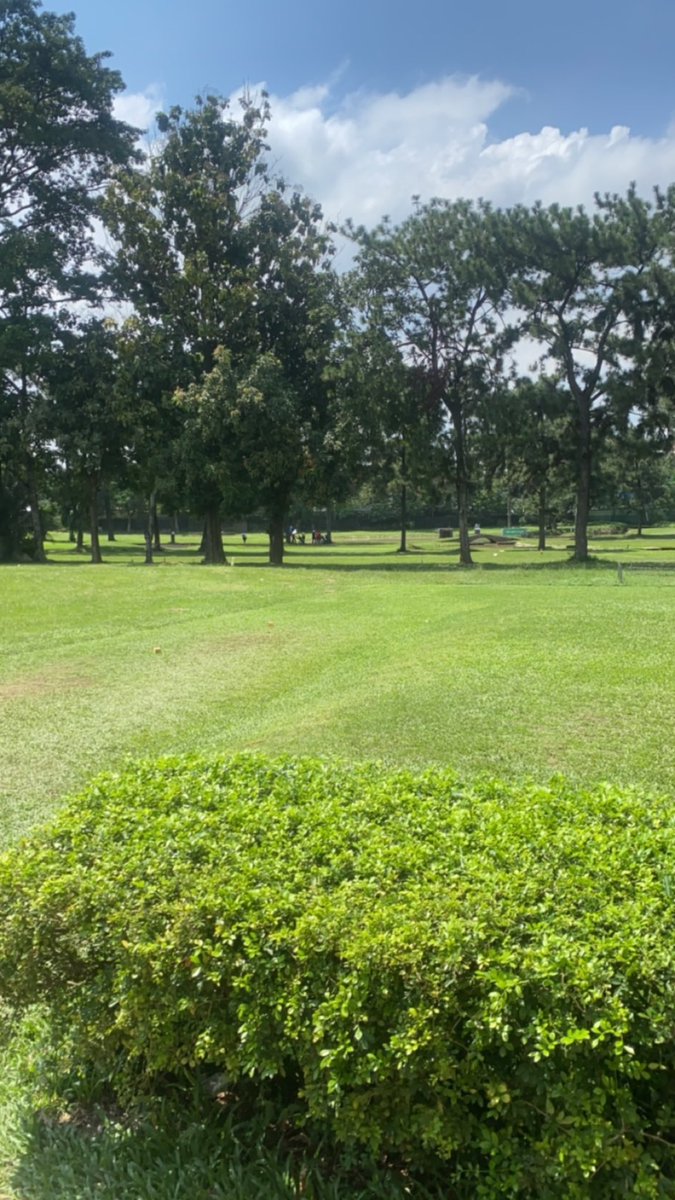 Terrible day on the golf course.

We go again tomorrow.