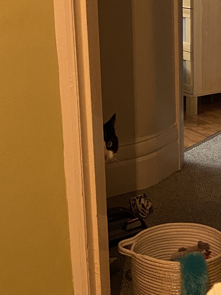 JustJess tweet media