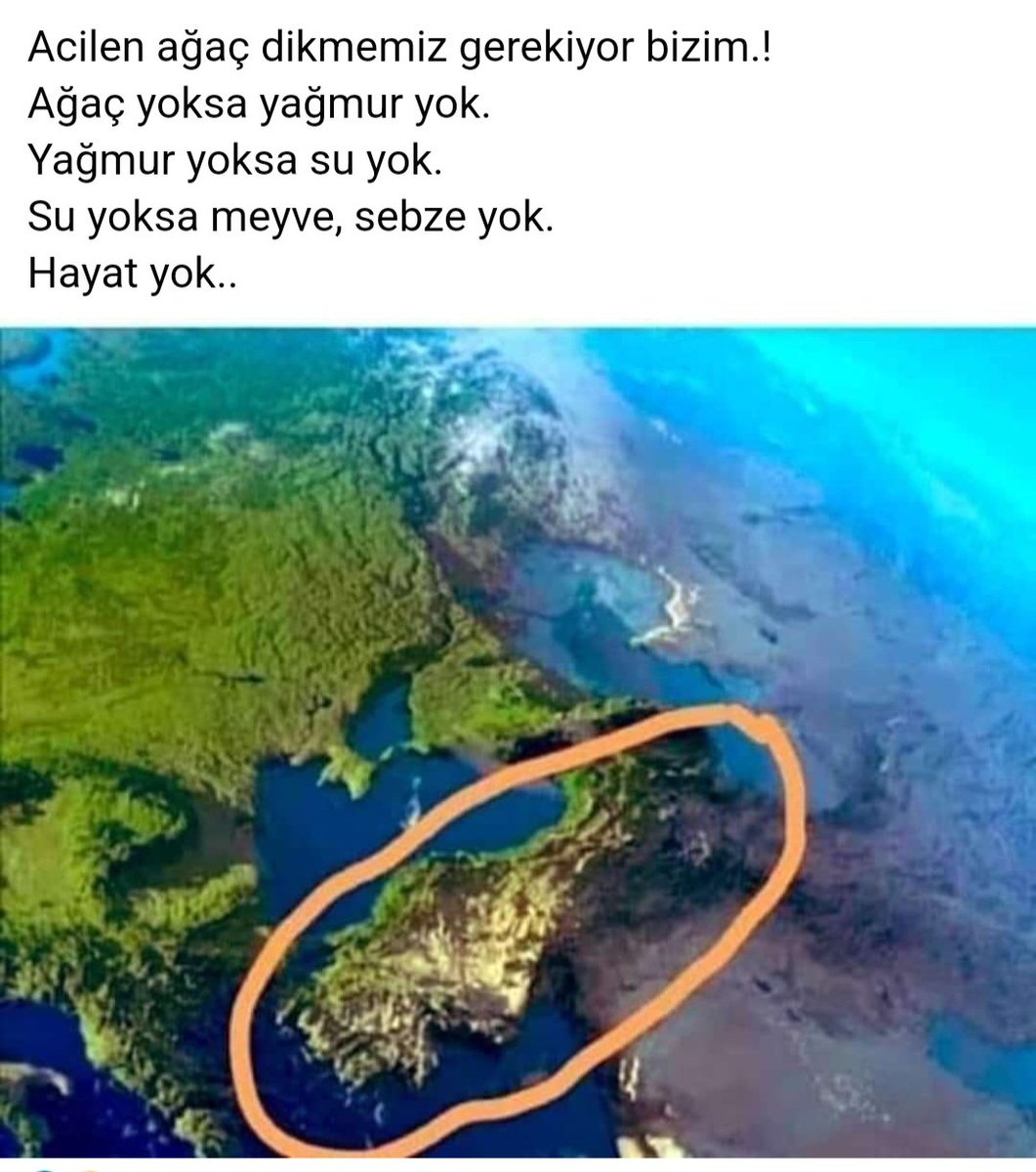 🆘Tüm ülkeyi ağaç dikme ye davet ediyorum ,❗❗