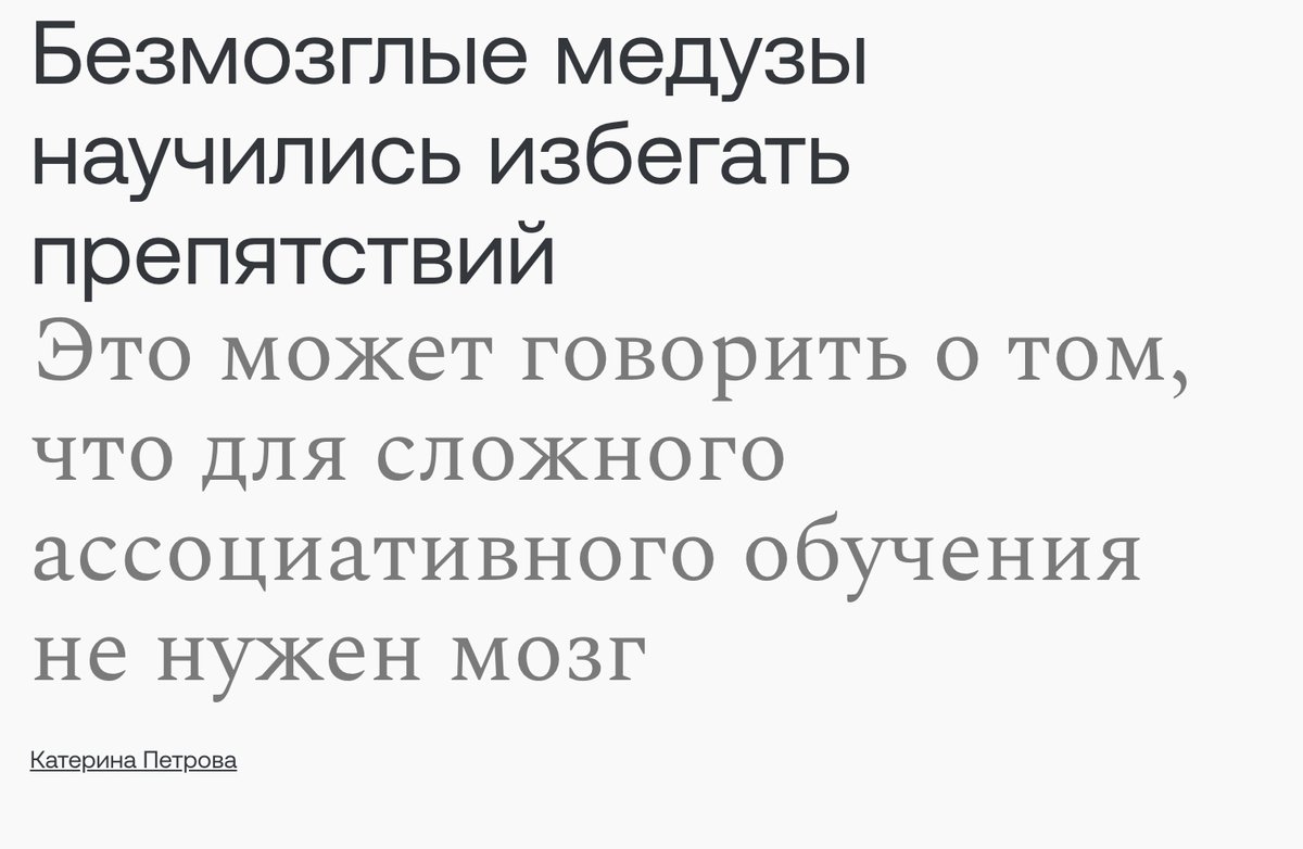 Мы или не мы

#заголовокднянаэнке