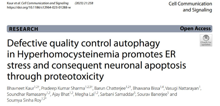 Our recent publication, shed light on the essential role played by #UPR , #mitochondrial dysfunction, and defective #autophagy in triggering #neuronalapoptosis in #Hyperhomocysteinemia. Congratulations to the team. @IGIBSocial @SpringerNature