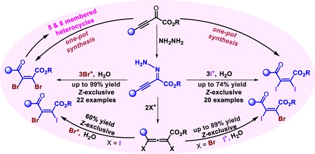 JOC_OL's tweet photo. A completely (Z)-selective route to tetrasubstituted 1,4-dicarbonyl alkenes exhibiting vicinal homo/hetero halogens via an electrophilic halogenation of unprotected alkynyl hydrazones https://t.co/Dd2alTp4fq. From @Guru_Lab_IITJMU @gurubrahamam @Akashdeep230496 @jamwal_paru https://t.co/oP1sWiTURv
