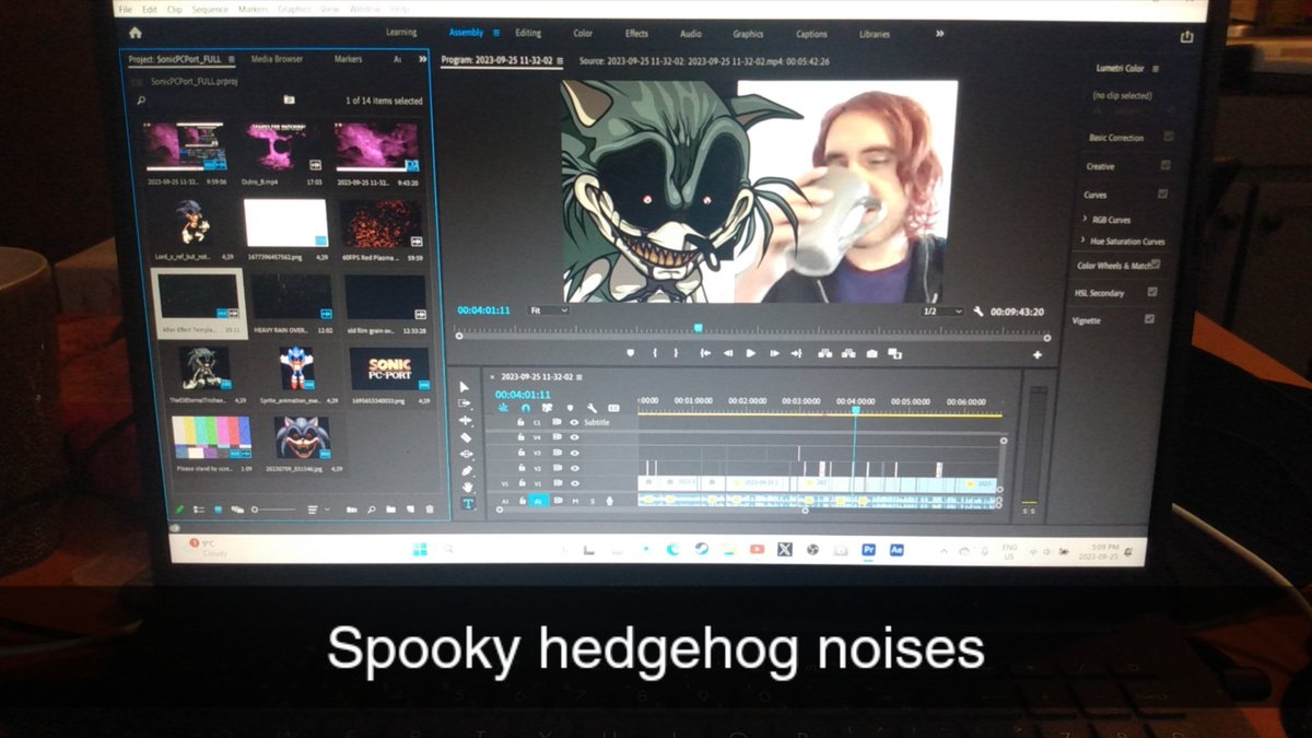 SageIRISGillis's tweet image. Bro is cookin
#SonicPCPort