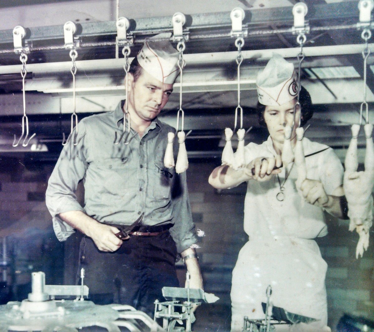 📣 DeLong’s Gizzard Equipment was founded in the 1940’s by Horace DeLong of Gainesville, Georgia. For more than 50 years Horace and his team established their reputation throughout the eastern United States. 

#poultryprocessingequipment #DelongsGizzardEquipment