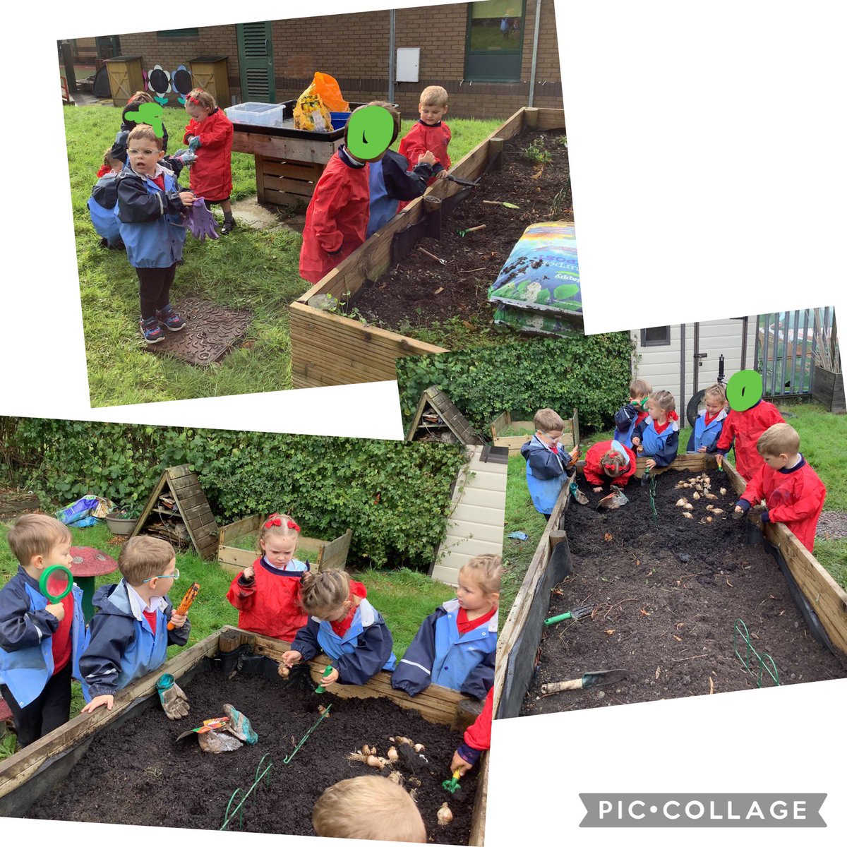 Marvellous Monday planting our Spring bulbs in the Nursery planters! #planningahead @NantYParcSchool