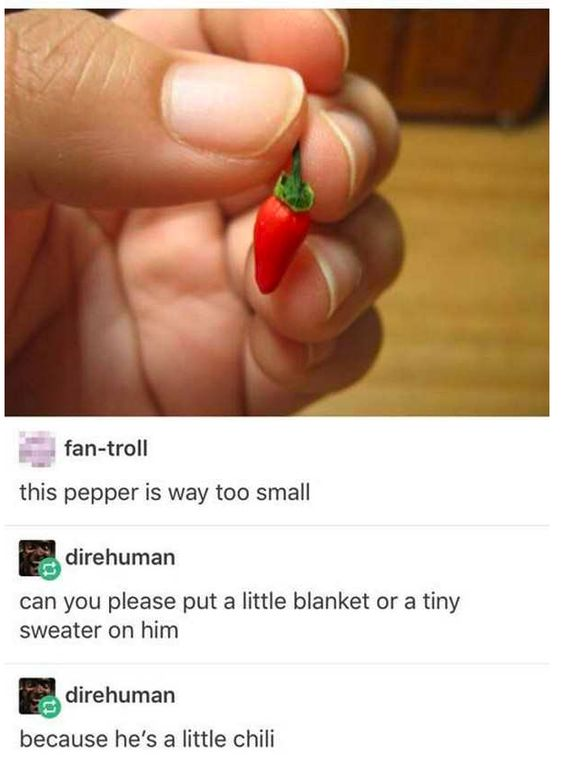 WholesomeMeme's tweet photo. https://t.co/6vf4DSggVc
