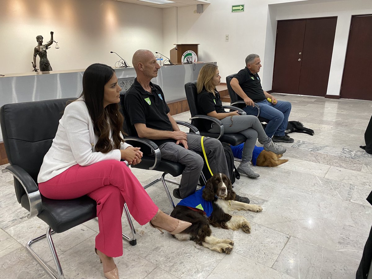 SIPINNA Sonora (@sipinnasonora) on Twitter photo 🦴Golda, Beto y Barton🐾 visitaron a magistradas, magistrados, juezas y jueces del <a href="/STJSonora/">PoderJudicialSon</a> para presentarse y compartir el trabajo que realizan como acompañantes en el programa de terapia asistida con perros en atención a niñez y adolescencia víctima de violencias… (1/2) 🦴Golda, Beto y Barton🐾 visitaron a magistradas, magistrados, juezas y jueces del <a href="/STJSonora/">PoderJudicialSon</a> para presentarse y compartir el trabajo que realizan como acompañantes en el programa de terapia asistida con perros en atención a niñez y adolescencia víctima de violencias… (1/2)