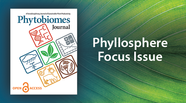 Out now! The Phyllosphere Focus Issue celebrates the tremendous growth and impact of #phyllosphere science as a discipline, highlighting the status of the field and offering ideas for future directions. Read now: bit.ly/48nvM1v