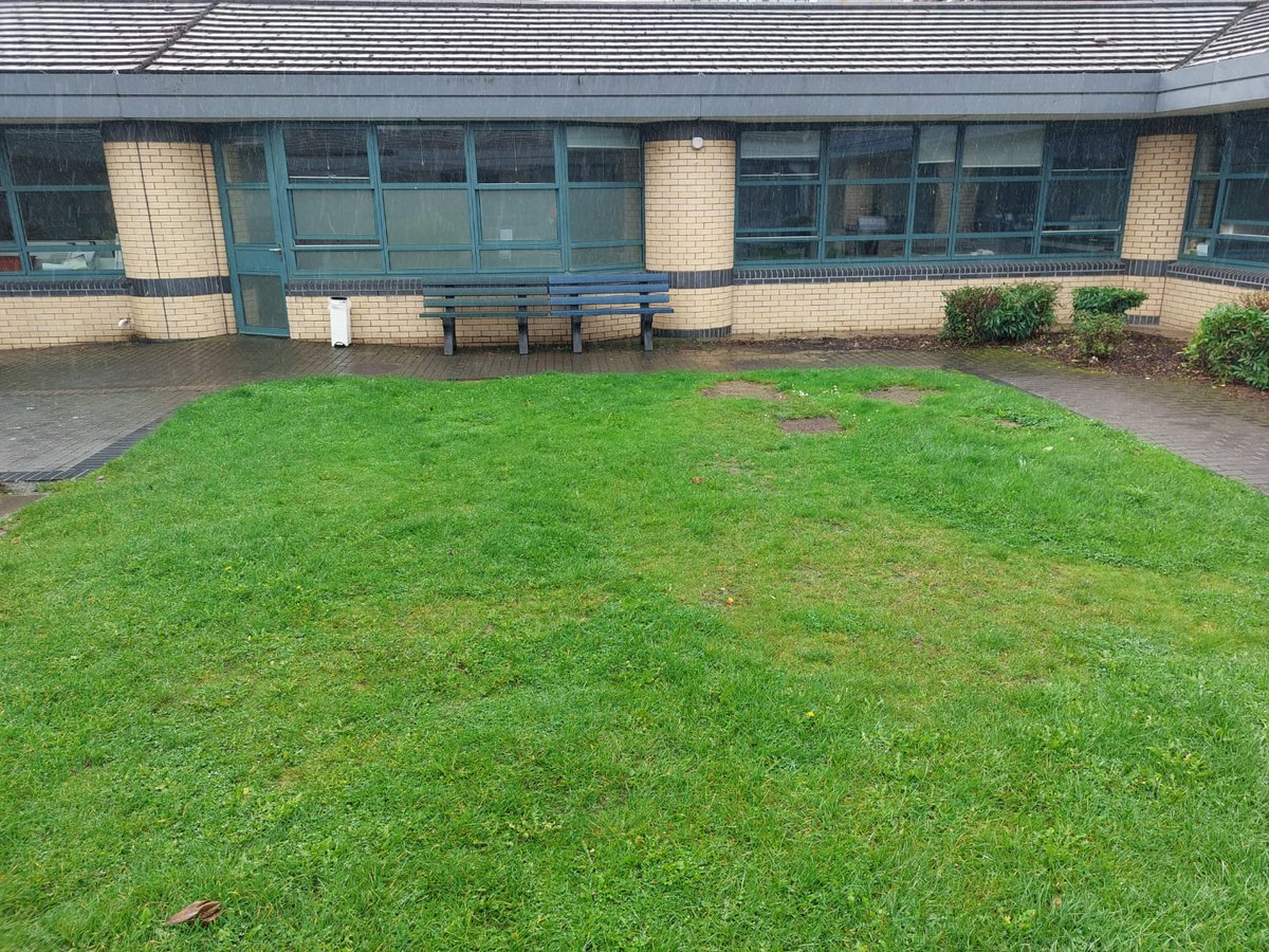 Hort_Rach's tweet photo. A pleasure to lead the courtyard revamp in Tallaght Hospital. Working with Lee #Coachapproach OT dept, and volunteers Denise and Craig. Funding via @TallaghtComCo , equipment and expertise via @WeAreTUDublin ...creating a sensory, biodiversity rich, therapeutic space for patients https://t.co/0Dsg71SQ38