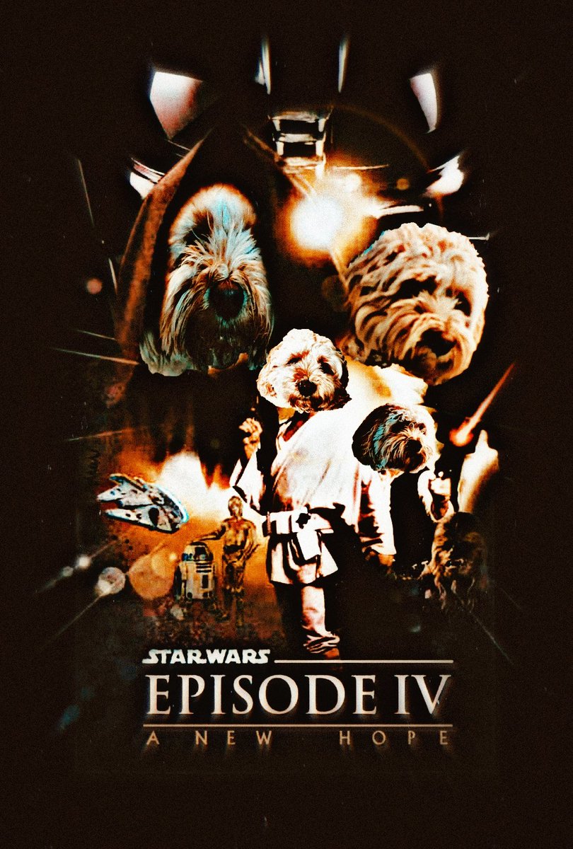 I'm turning 4 today!!!