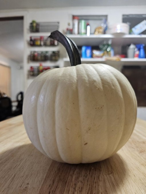 Pumpkin painting tonight! Live in 4k! Drop face suggestions in the comments! https://t.co/l6xsgSIUTi<a href="/tag/vtuber"class="tags"><span>#vtuber</span></a>