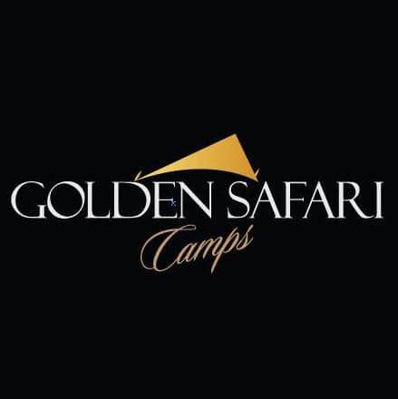 Golden Safari Camps tweet media