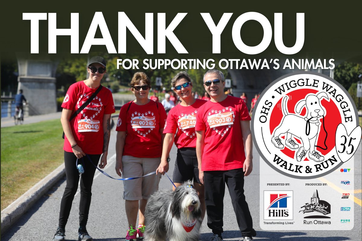ottawahumane's tweet photo. Thank you to everyone who came out and supported the 35th annual Wiggle Waggle Walk &amp; Run!

YOU are saving lives.

Stay tuned for photos from the event: https://t.co/7d9Ar6Gr4a https://t.co/21LMcQKIjl