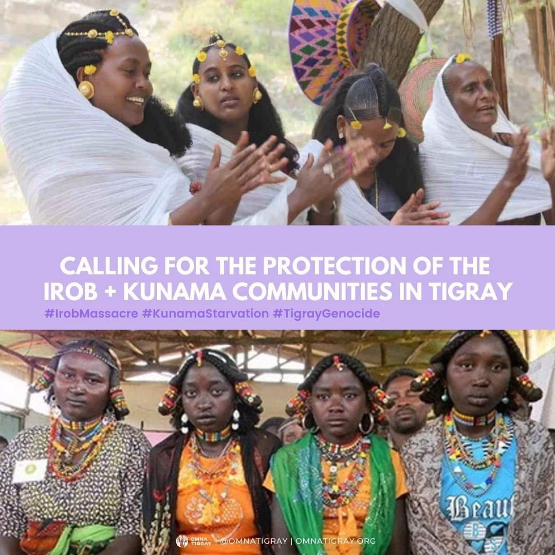Romha12's tweet photo. @EwelinaUO @IrobAnina @atiryashak @IBAnews @IBAHRI @IBAevents @UN @UNHumanRights @UNGeneva @LuxembourgUN @P4HR @Coalition4GR "The #Irobs& #Kunama are numerical minority ethnic groups in z larger #Tigray region. Definitely, such minorities are extremely endangered by cycles of merciless wars in all forms& packages, mainly by Eritrean forces."
#Justice4Tigray
@StateDept @EUCouncil
https://t.co/OJLKoqFaAB https://t.co/APSwAGZDBn