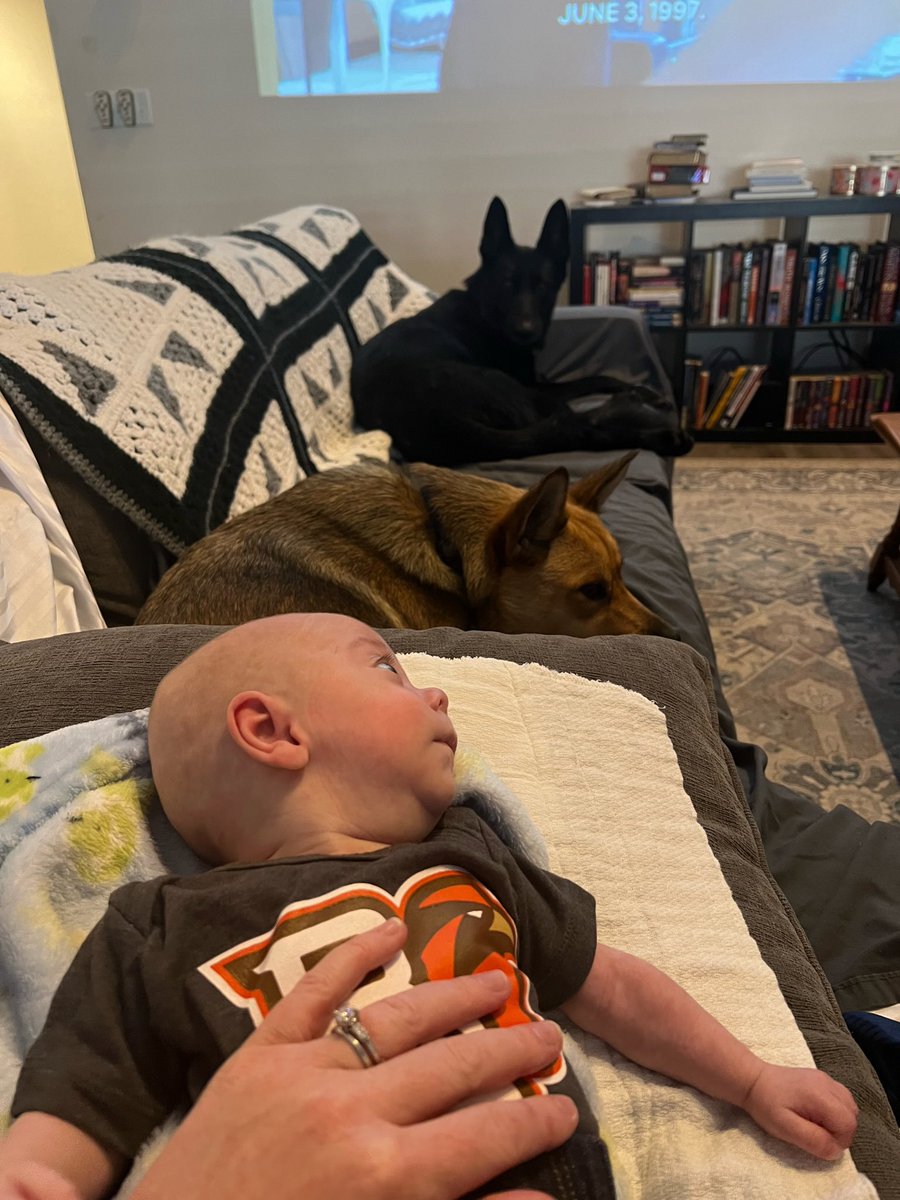 Greg Nosal tweet media