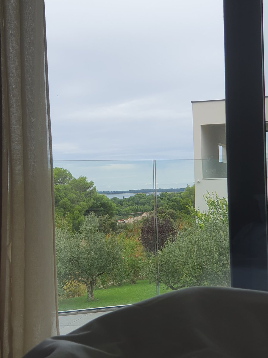 YukyWolf's tweet photo. @OnePuffyCollie Best view from bed in the morning: The sea https://t.co/LT5PXTqk82