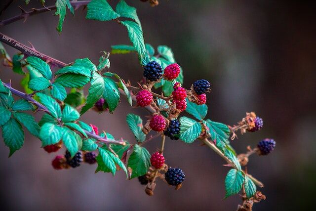 How To Grow Your Email List: It’s not entirely about the number of emails you have but the quality of those emails and the contacts who own them. Learn more in our ultimate guide: bit.ly/3mtAHFw