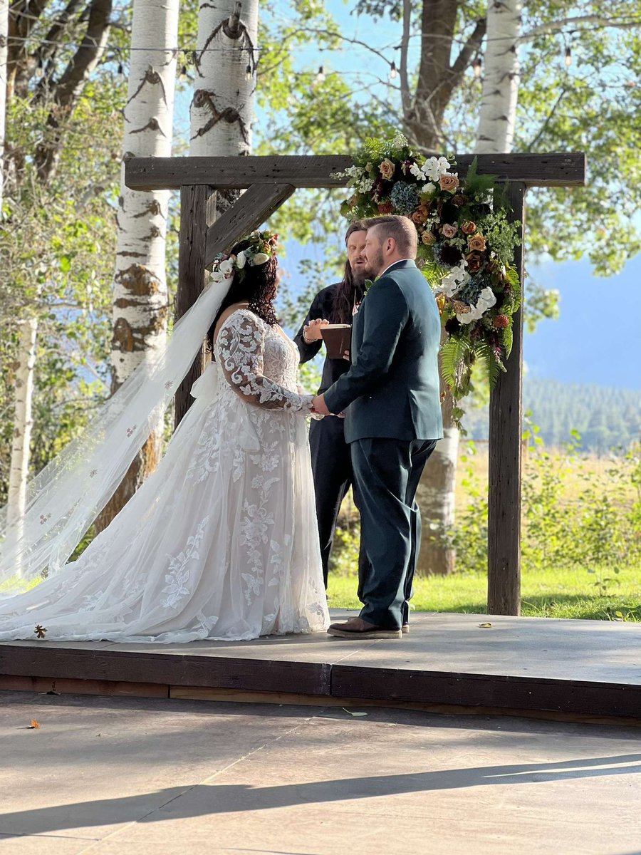 Tento 🧠 tweet media