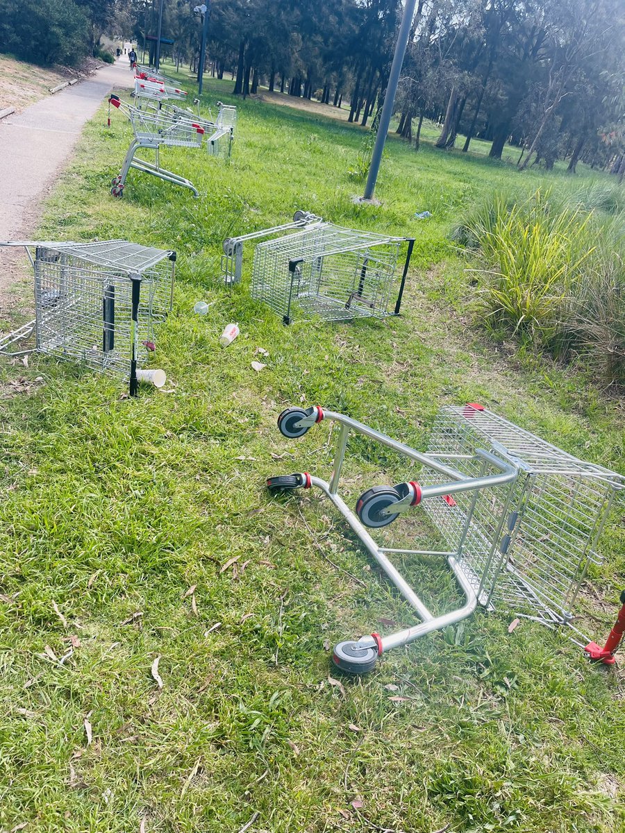 Shopping trolley alley on campus! I counted at least 25! Maybe there is a better way to help students @UniCanberra get their groceries back to residences?