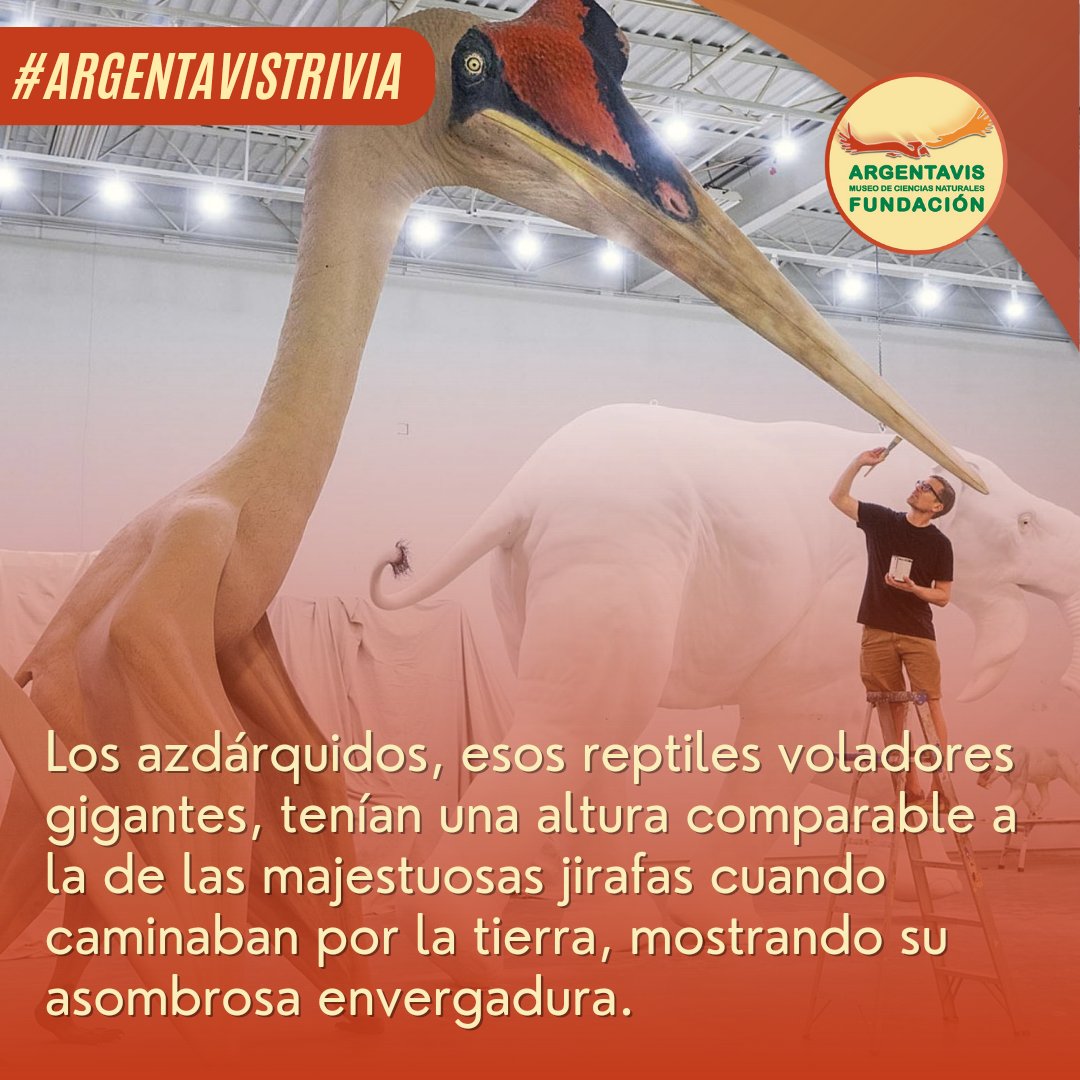 💡🌿 Descubre curiosidades sobre la naturaleza y acompáñanos en este emocionante viaje de descubrimiento, en esta nueva publicación. ¡Siempre hay algo sorprendente que la naturaleza tiene reservado para nosotros! 🌎💫 #Museo #Curiosidades #Fosil #SabiasQue #Paleontologia #Trivia