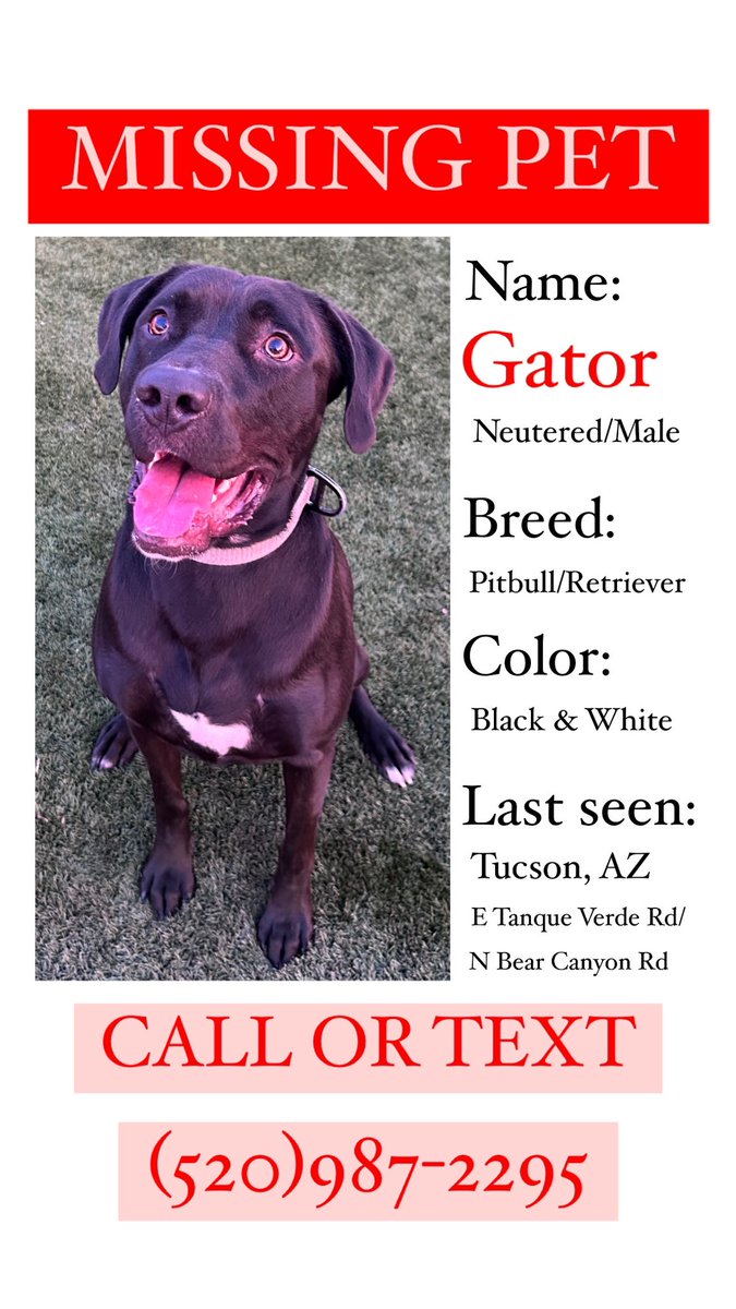 jandra.✨ tweet media