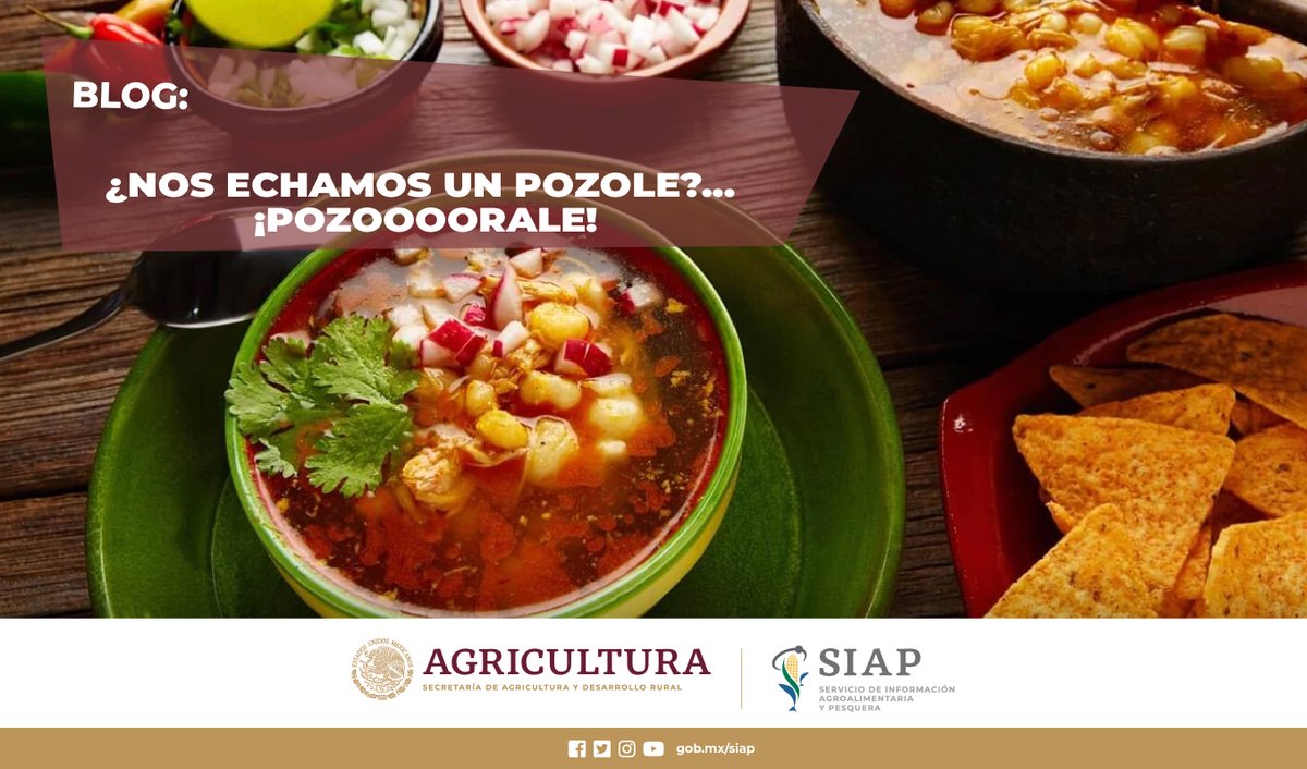 DGSIAP_Mx's tweet photo. #Blog: ¿Nos echamos un pozole?

El pozole es uno de los platillos más emblemáticos de la cultura y gastronomía mexicana.
👉https://t.co/YLU6CvoqWO

#MesPatrio
#AgriculturaMexicana https://t.co/sOipGnt8oF