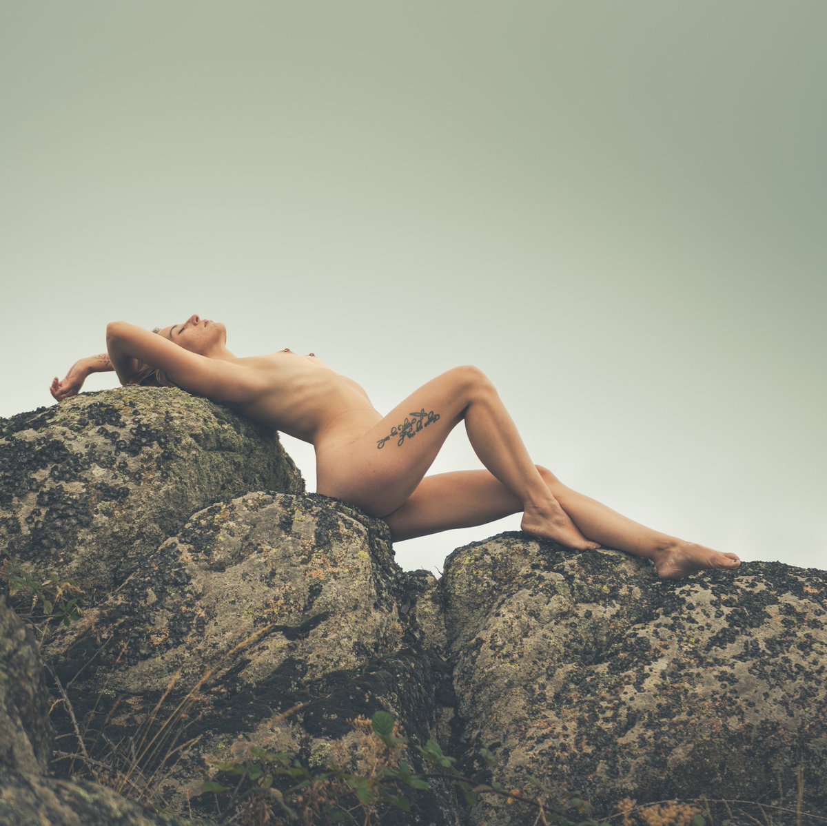 Courbes_exquises (@courbesexquises) on Twitter photo 