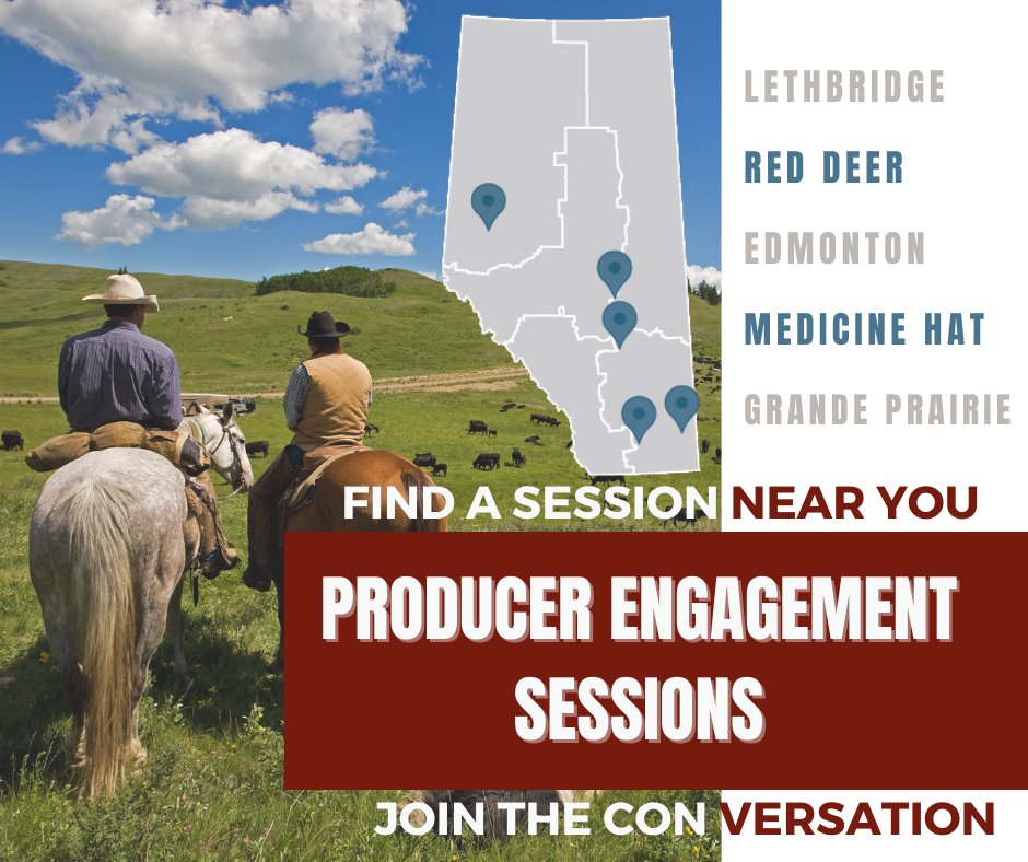 Cattle Producers: We want to hear from you! Share your thoughts at one of ABP’s upcoming Producer Engagement Sessions across the province. Find dates, locations, and details here: tinyurl.com/4wvu9yfj