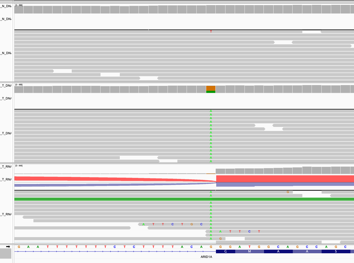 Jeffrey Gagan MD, PhD tweet media